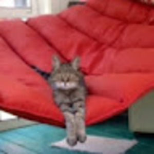 Meet your Posher, Elin